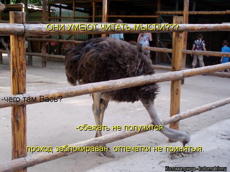 ОНИ УМЕЮТ ЧИТАТЬ МЫСЛИ??? -чего там Вась? -сбежать не получится. проход заблокираван, отпечатки не пр... Котоматрица: ОНИ УМЕЮТ ЧИТАТЬ МЫСЛИ??? -чего там Вась? -сбежать не получится. проход заблокираван, отпечатки не принятыя.