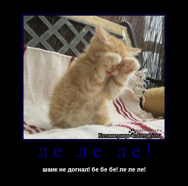 ле ле ле! шаик не догнал! бе бе бе! ле ле ле!... Котоматрица: ле ле ле! шаик не догнал! бе бе бе! ле ле ле!