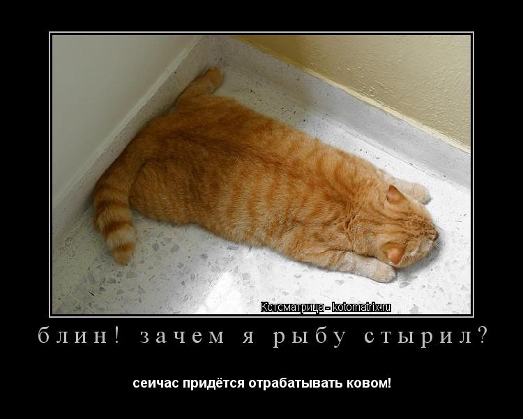 блин! зачем я рыбу стырил? сеичас придётся отрабатывать ковом!... Котоматрица: блин! зачем я рыбу стырил? сеичас придётся отрабатывать ковом!