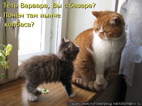 Тёть Варвара, Вы с базара? Почём там нынче колбаса?... Котоматрица: Тёть Варвара, Вы с базара? Почём там нынче колбаса?