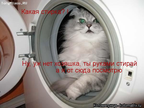 Какая стирка? ! а я от сюда посмотрю Ну, уж нет хозяшка, ты руками стирай... Котоматрица: Какая стирка? ! а я от сюда посмотрю Ну, уж нет хозяшка, ты руками стирай