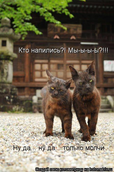 Кто напились?! Мы-ы-ы-ы?!!! Ну да... ну да... только молчи... Котоматрица: Кто напились?! Мы-ы-ы-ы?!!! Ну да... ну да... только молчи