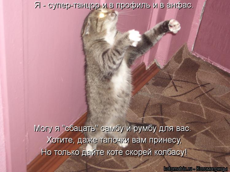 Я - супер-танцор и в профиль и в анфас. Могу я "сбацать" самбу и румбу для вас. Хотите, даже тапочки ... Котоматрица: Я - супер-танцор и в профиль и в анфас. Могу я "сбацать" самбу и румбу для вас. Хотите, даже тапочки вам принесу, Но только дайте коте скорей кол