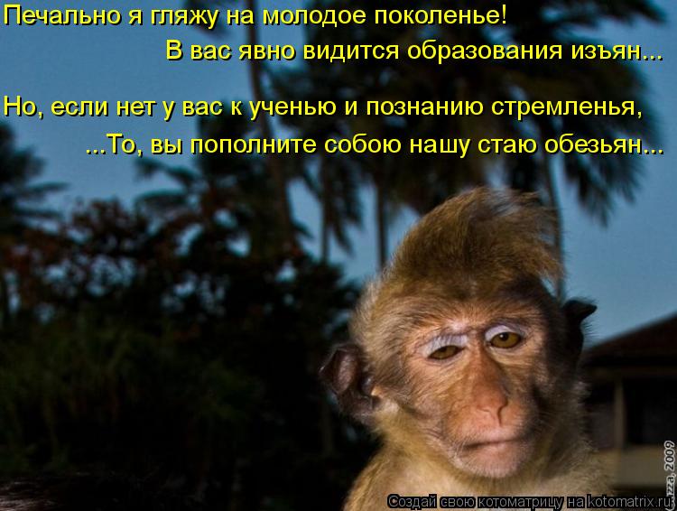 Печально я гляжу на молодое поколенье! Но, если нет у вас к ученью и познанию стремленья, В вас явно ... Котоматрица: Печально я гляжу на молодое поколенье! Но, если нет у вас к ученью и познанию стремленья, В вас явно видится образования изъян... ...То, вы попо