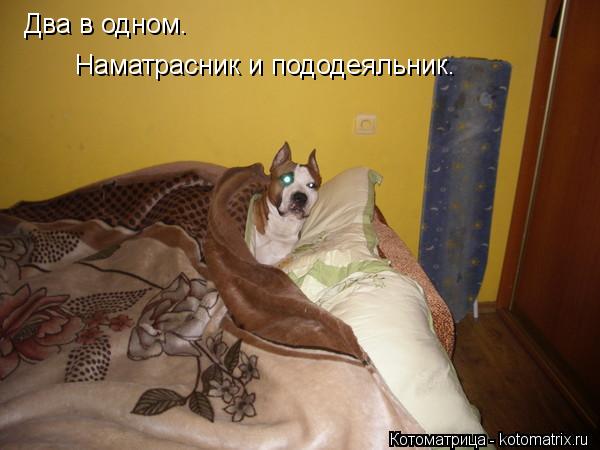 Два в одном. Наматрасник и пододеяльник.... Котоматрица: Два в одном. Наматрасник и пододеяльник.