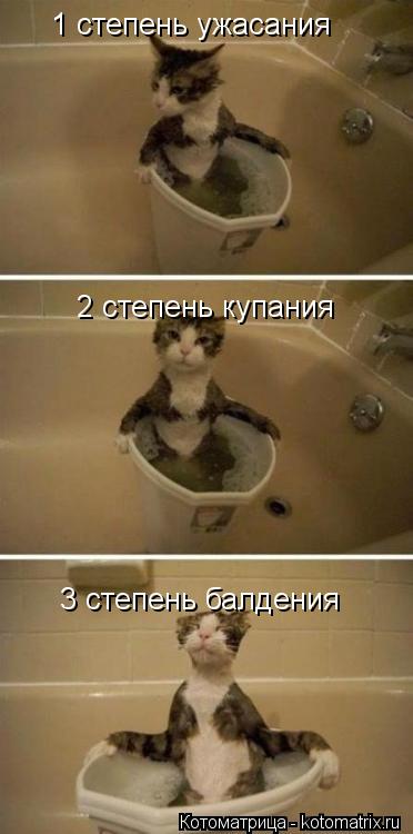 2 степень купания 3 степень балдения 1 степень ужасания... Котоматрица: 2 степень купания 3 степень балдения 1 степень ужасания