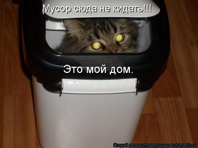 Мусор сюда не кидать!!! Это мой дом.... Котоматрица: Мусор сюда не кидать!!! Это мой дом.