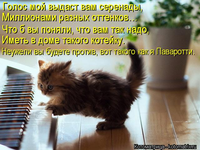 Голос мой выдаст вам серенады, Миллионами разных оттенков… Что б вы поняли, что вам так надо, Иметь в... Котоматрица: Голос мой выдаст вам серенады, Миллионами разных оттенков… Что б вы поняли, что вам так надо, Иметь в доме такого котейку. Неужели вы будете
