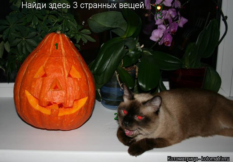 Найди здесь 3 странных вещей 1 2 ( ) (3... Котоматрица: Найди здесь 3 странных вещей 1 2 ( ) (3