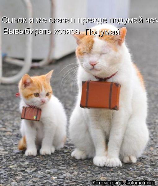 Сынок я же сказал прежде подумай чем Вывыбирать хозяев.. Подумай... Котоматрица: Сынок я же сказал прежде подумай чем Вывыбирать хозяев.. Подумай