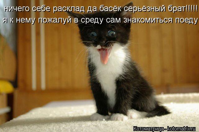 ничего себе расклад да басёк серьёзный брат!!!!! я к нему пожалуй в среду сам знакомиться поеду... Котоматрица: ничего себе расклад да басёк серьёзный брат!!!!! я к нему пожалуй в среду сам знакомиться поеду