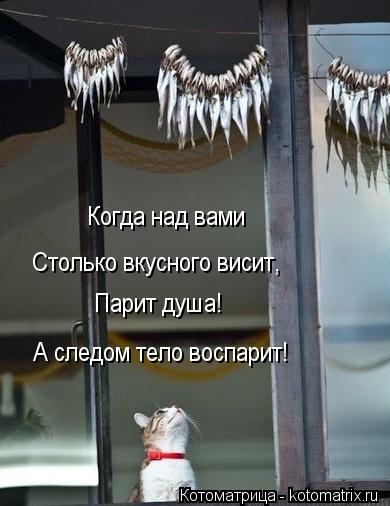 Когда над вами Столько вкусного висит, Парит душа! А следом тело воспарит!... Котоматрица: Когда над вами Столько вкусного висит, Парит душа! А следом тело воспарит!