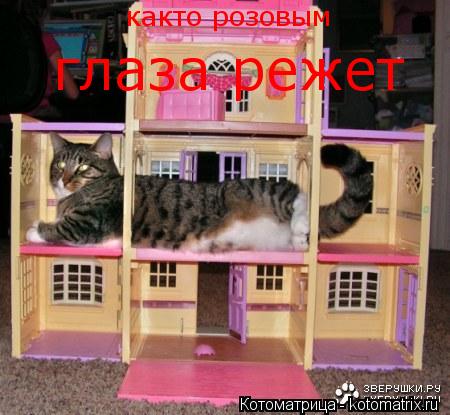 както розовым глаза режет... Котоматрица: както розовым глаза режет