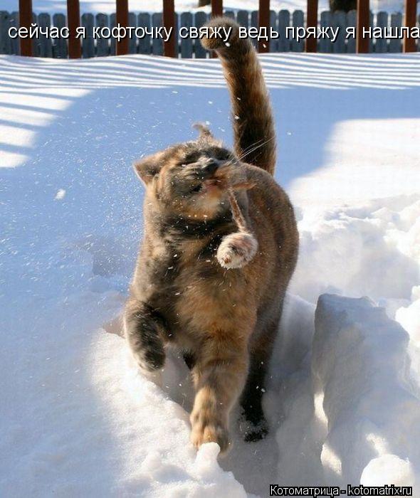 сейчас я кофточку свяжу ведь пряжу я нашла... Котоматрица: сейчас я кофточку свяжу ведь пряжу я нашла