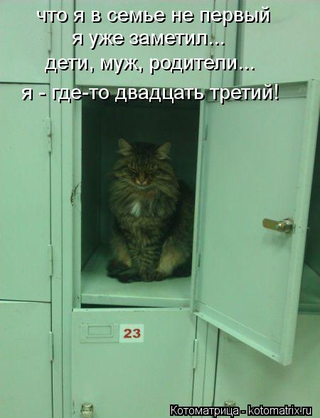 что я в семье не первый я уже заметил... дети, муж, родители... я - где-то двадцать третий!... Котоматрица: что я в семье не первый я уже заметил... дети, муж, родители... я - где-то двадцать третий!