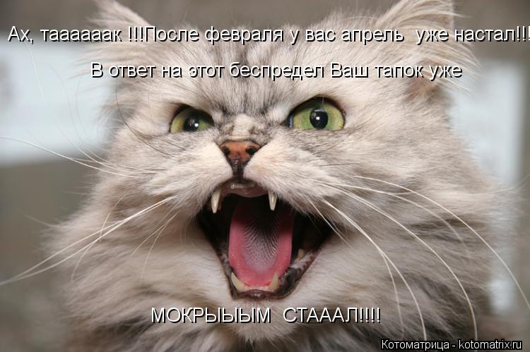 Ах, таааааак !!!После февраля у вас апрель уже настал!!!! В ответ на этот беспредел Ваш тапок уже М... Котоматрица: Ах, таааааак !!!После февраля у вас апрель уже настал!!!! В ответ на этот беспредел Ваш тапок уже МОКРЫЫЫМ СТАААЛ!!!!