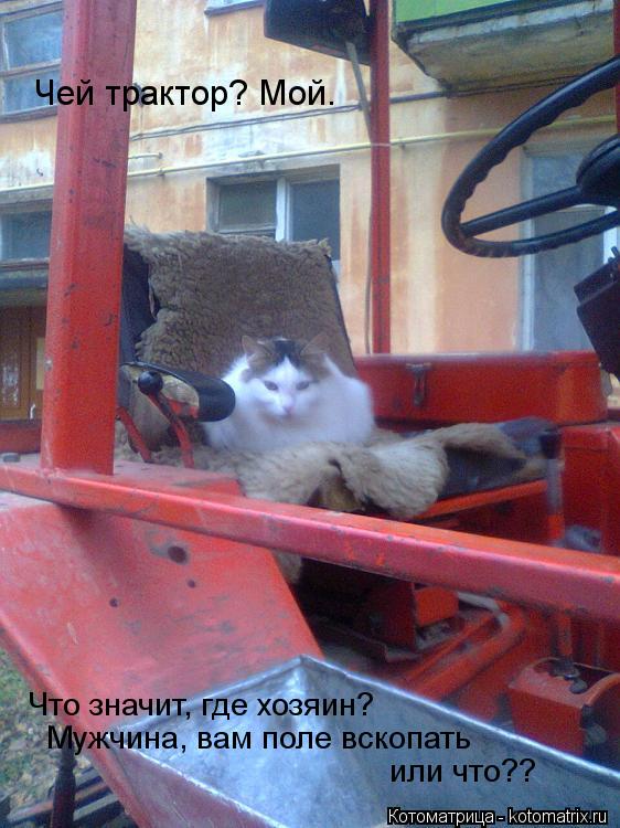 Чей трактор? Мой. Что значит, где хозяин? Мужчина, вам поле вскопать или что??... Котоматрица: Чей трактор? Мой. Что значит, где хозяин? Мужчина, вам поле вскопать или что??