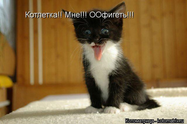 Котлетка!! Мне!!! ООфигеть!!!... Котоматрица: Котлетка!! Мне!!! ООфигеть!!!