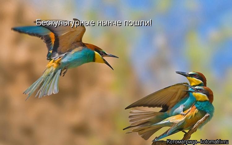 Бескультурные нынче пошли!... Котоматрица: Бескультурные нынче пошли!