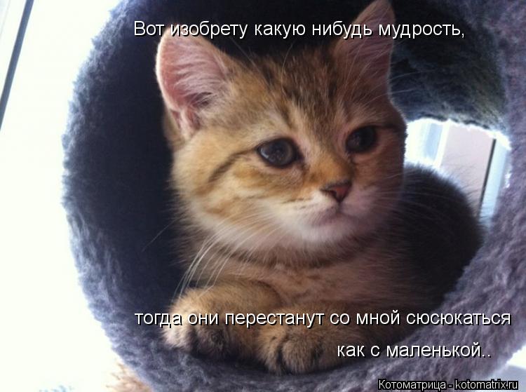 как с маленькой.. тогда они перестанут со мной сюсюкаться Вот изобрету какую нибудь мудрость,... Котоматрица: как с маленькой.. тогда они перестанут со мной сюсюкаться Вот изобрету какую нибудь мудрость,