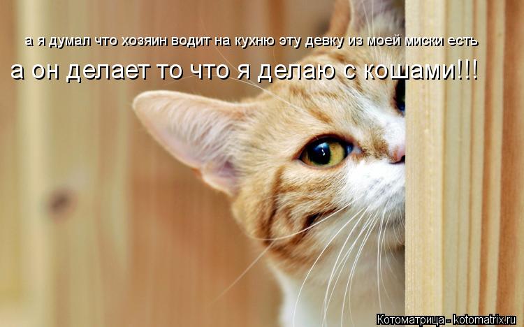 а я думал что хозяин водит на кухню эту девку из моей миски есть а он делает то что я делаю с кошами!... Котоматрица: а я думал что хозяин водит на кухню эту девку из моей миски есть а он делает то что я делаю с кошами!!!