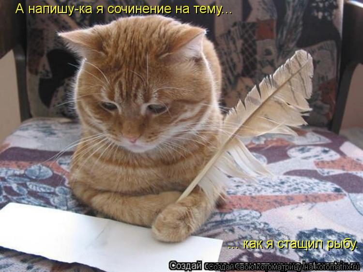 ... как я стащил рыбу. А напишу-ка я сочинение на тему...... Котоматрица: ... как я стащил рыбу. А напишу-ка я сочинение на тему...