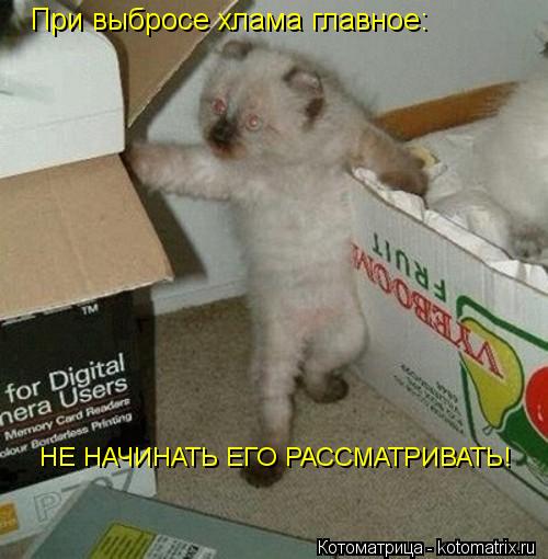 При выбросе хлама главное: НЕ НАЧИНАТЬ ЕГО РАССМАТРИВАТЬ!... Котоматрица: При выбросе хлама главное: НЕ НАЧИНАТЬ ЕГО РАССМАТРИВАТЬ!