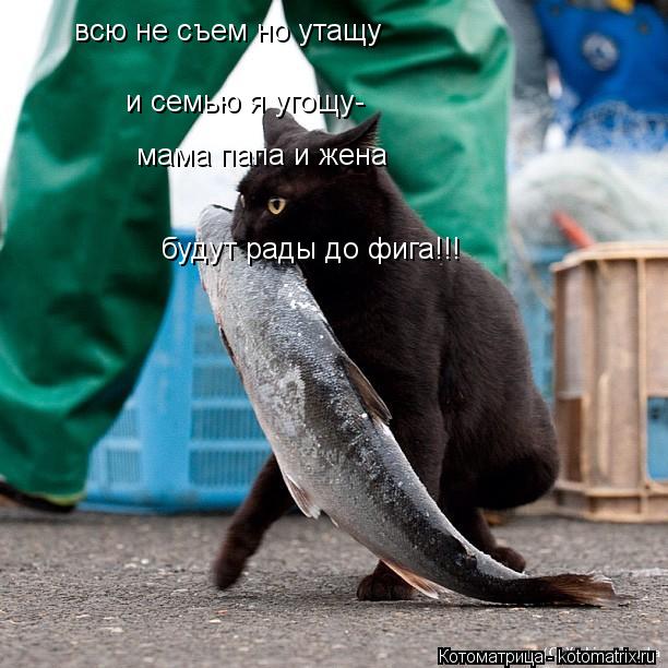 всю не съем но утащу и семью я угощу- мама папа и жена будут рады до фига!!!... Котоматрица: всю не съем но утащу и семью я угощу- мама папа и жена будут рады до фига!!!