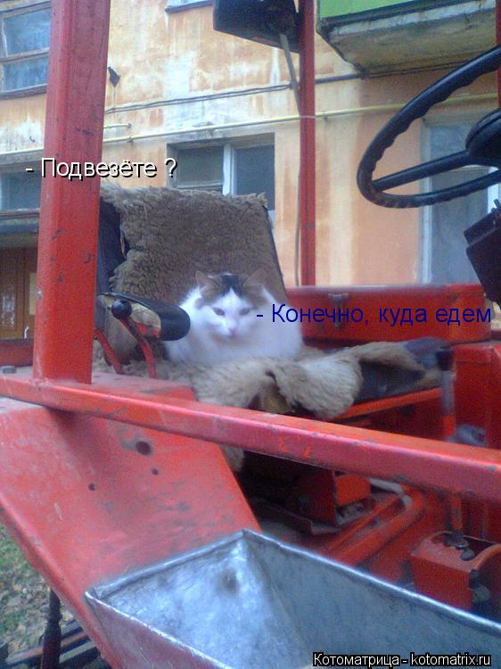 - Подвезёте ? - Конечно, куда едем ?... Котоматрица: - Подвезёте ? - Конечно, куда едем ?