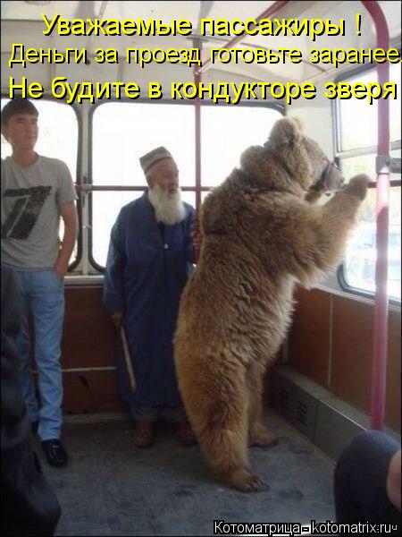 Деньги за проезд готовьте заранее. Не будите в кондукторе зверя ! Уважаемые пассажиры !... Котоматрица: Деньги за проезд готовьте заранее. Не будите в кондукторе зверя ! Уважаемые пассажиры !