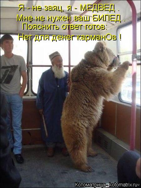 Пояснить ответ готов: Я - не заяц, я - МЕДВЕД . Мне не нужен ваш БИЛЕД . Нет для денег карманОв !... Котоматрица: Пояснить ответ готов: Я - не заяц, я - МЕДВЕД . Мне не нужен ваш БИЛЕД . Нет для денег карманОв !