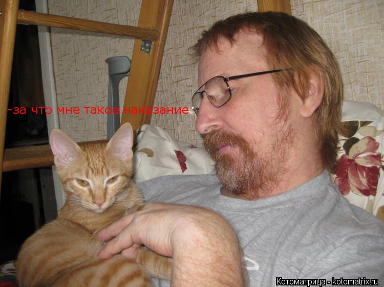 -за что мне такое наказание... Котоматрица: -за что мне такое наказание