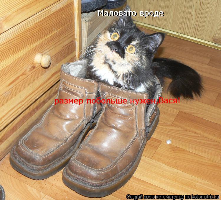 Маловато вроде размер побольше нужен Вася! ,... Котоматрица: Маловато вроде размер побольше нужен Вася! ,