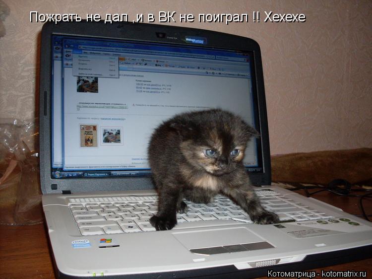 Пожрать не дал ,и в ВК не поиграл !! Хехехе... Котоматрица: Пожрать не дал ,и в ВК не поиграл !! Хехехе