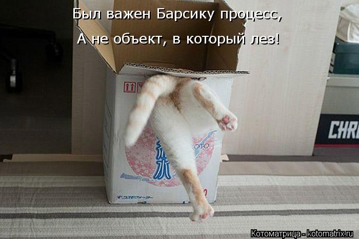 Был важен Барсику процесс, А не объект, в который лез!... Котоматрица: Был важен Барсику процесс, А не объект, в который лез!