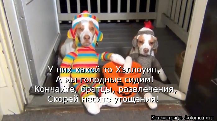 У них какой то Хэллоуин, А мы голодные сидим! Кончайте, братцы, развлечения, Скорей несите угощения!... Котоматрица: У них какой то Хэллоуин, А мы голодные сидим! Кончайте, братцы, развлечения, Скорей несите угощения!