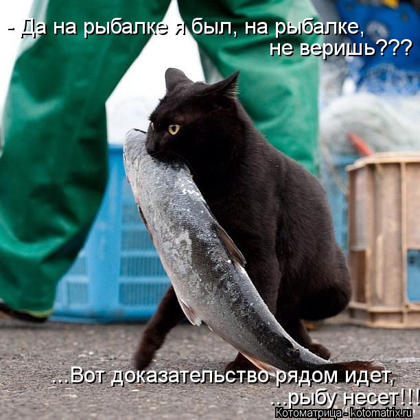 - Да на рыбалке я был, на рыбалке, ...Вот доказательство рядом идет, ...рыбу несет!!! не веришь???... Котоматрица: - Да на рыбалке я был, на рыбалке, ...Вот доказательство рядом идет, ...рыбу несет!!! не веришь???