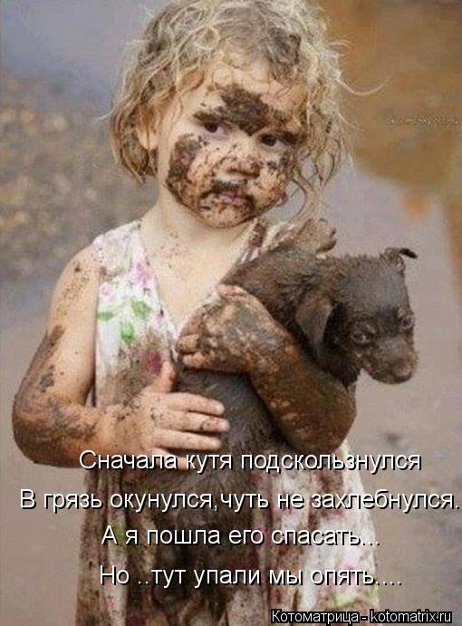 Но ..тут упали мы опять.... А я пошла его спасать... В грязь окунулся,чуть не захлебнулся... Сначала ... Котоматрица: Но ..тут упали мы опять.... А я пошла его спасать... В грязь окунулся,чуть не захлебнулся... Сначала кутя подскользнулся