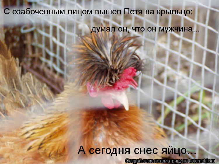 С озабоченным лицом вышел Петя на крыльцо: думал он, что он мужчина... А сегодня снес яйцо...... Котоматрица: С озабоченным лицом вышел Петя на крыльцо: думал он, что он мужчина... А сегодня снес яйцо...