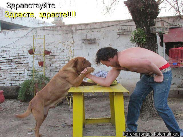 Здравствуйте... Здрасте, здрасте!!!!... Котоматрица: Здравствуйте... Здрасте, здрасте!!!!