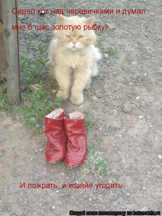 - Сидел кот над черевичками и думал мне б щас золотую рыбку! И пожрать, и хозяйе угодить... Котоматрица: - Сидел кот над черевичками и думал мне б щас золотую рыбку! И пожрать, и хозяйе угодить