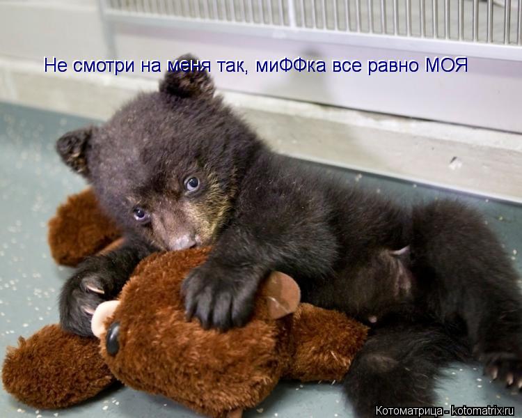 Не смотри на меня так, миФФка все равно МОЯ Не смотри на меня так, миФФка все равно МОЯ... Котоматрица: Не смотри на меня так, миФФка все равно МОЯ Не смотри на меня так, миФФка все равно МОЯ