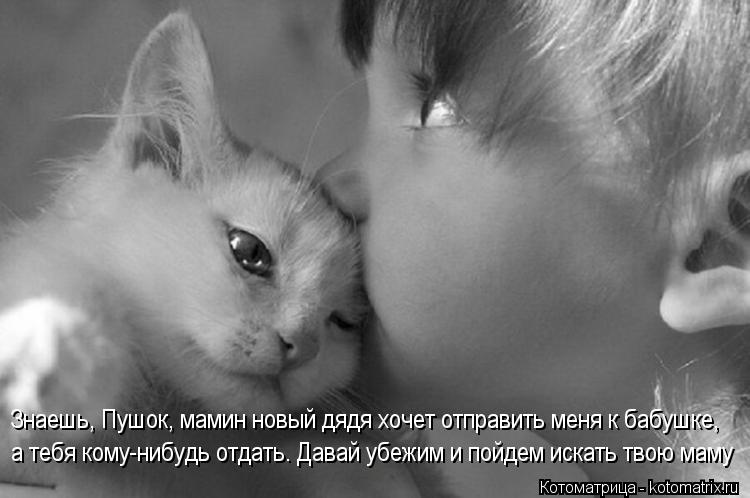 http://kotomatrix.ru/images/lolz/2013/11/02/kotomatritsa_Ps.jpg