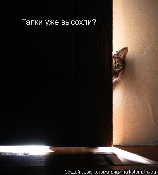 Тапки уже высохли?... Котоматрица: Тапки уже высохли?