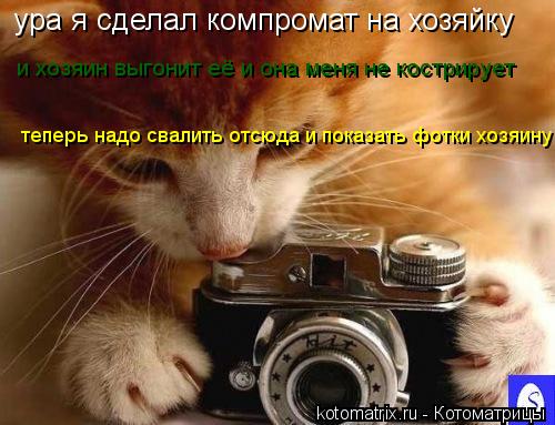 ура я сделал компромат на хозяйку и хозяин выгонит её и она меня не кострирует теперь надо свалить от... Котоматрица: ура я сделал компромат на хозяйку и хозяин выгонит её и она меня не кострирует теперь надо свалить отсюда и показать фотки хозяину