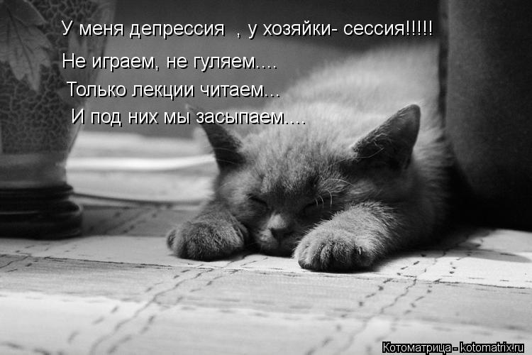У меня депрессия , у хозяйки- сессия!!!!! Не играем, не гуляем.... Только лекции читаем... И под них... Котоматрица: У меня депрессия , у хозяйки- сессия!!!!! Не играем, не гуляем.... Только лекции читаем... И под них мы засыпаем....