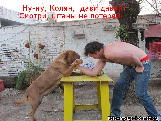 Ну-ну, Колян, дави давай! Смотри, штаны не потеряй!... Котоматрица: Ну-ну, Колян, дави давай! Смотри, штаны не потеряй!