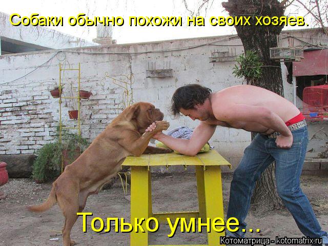 Собаки обычно похожи на своих хозяев. Только умнее...... Котоматрица: Собаки обычно похожи на своих хозяев. Только умнее...