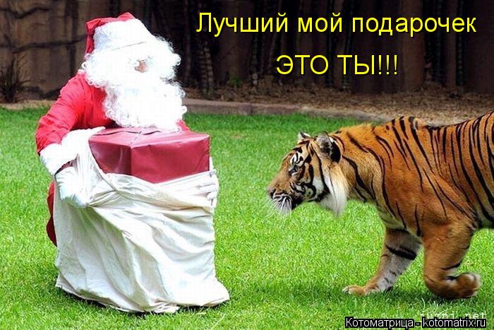Лучший мой подарочек ЭТО ТЫ!!!... Котоматрица: Лучший мой подарочек ЭТО ТЫ!!!
