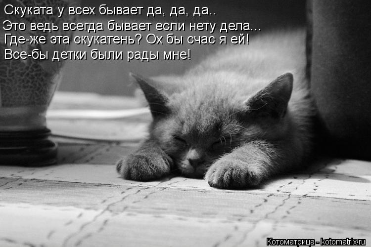 Скуката у всех бывает да, да, да.. Это ведь всегда бывает если нету дела... Где-же эта скукатень? Ох ... Котоматрица: Скуката у всех бывает да, да, да.. Это ведь всегда бывает если нету дела... Где-же эта скукатень? Ох бы счас я ей! Все-бы детки были рады мне!